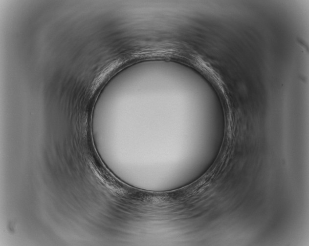 X0000101120107200806261055