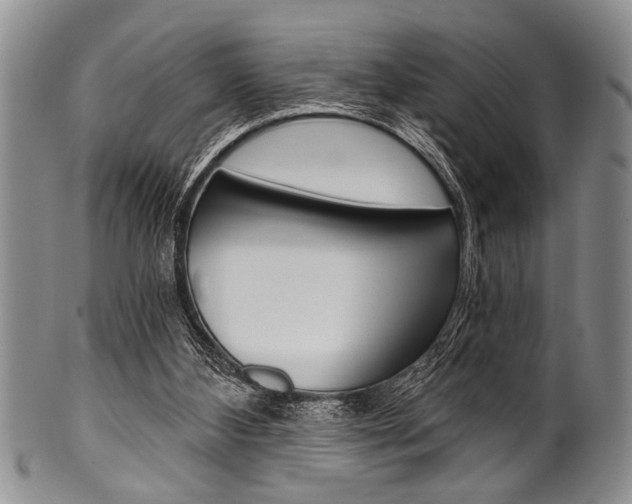 X0000101120108200806261055
