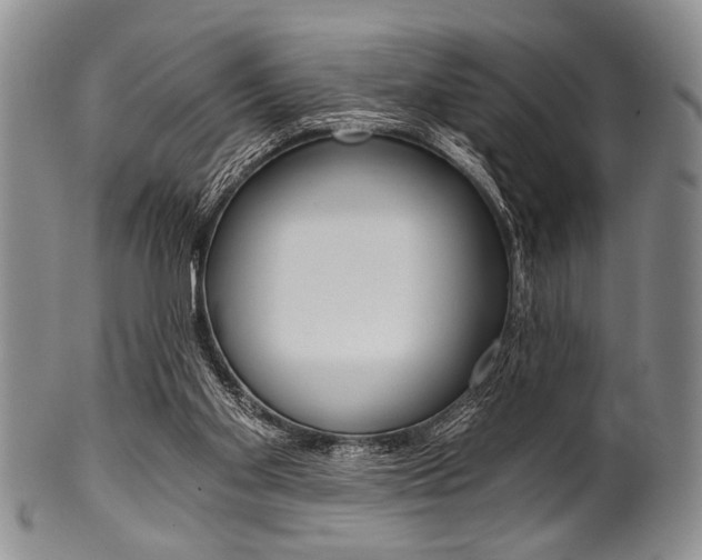 X0000101120109200806261055