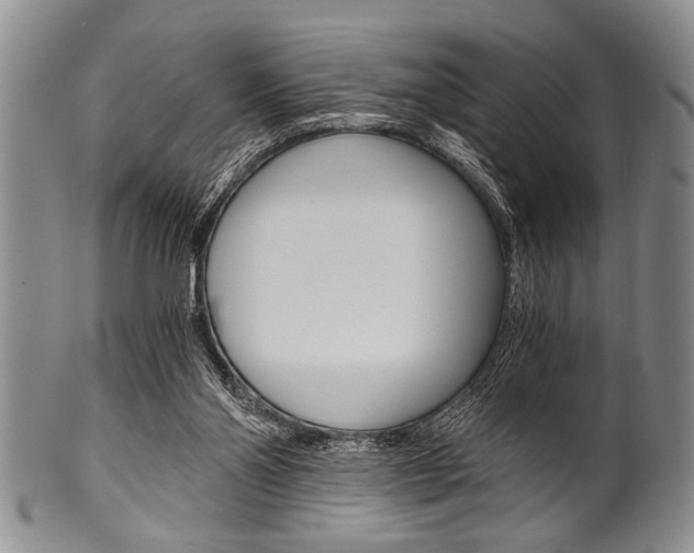X0000101120110200806261055