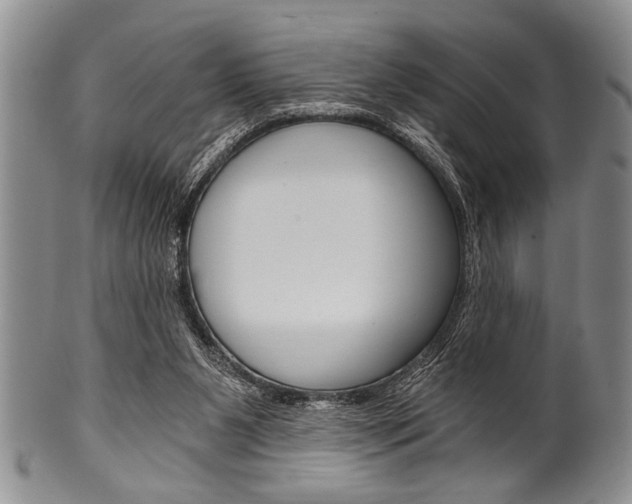 X0000101120111200806261055