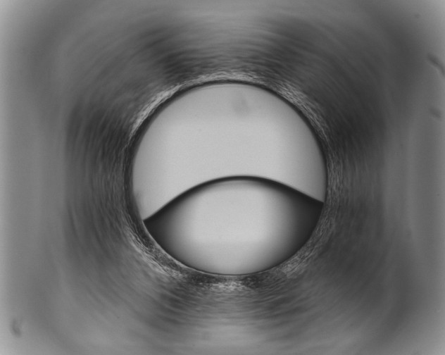 X0000101120112200806261054