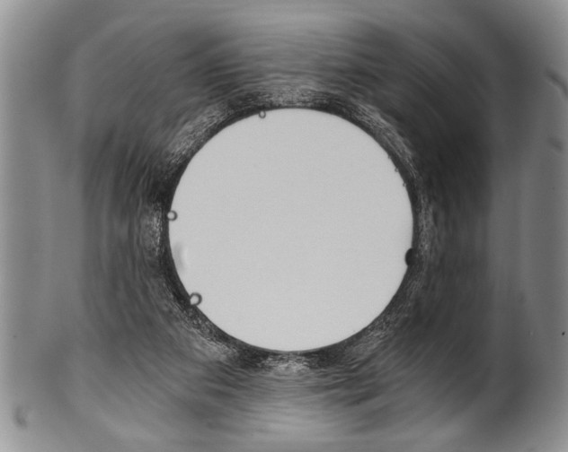 X0000101120113200806261054