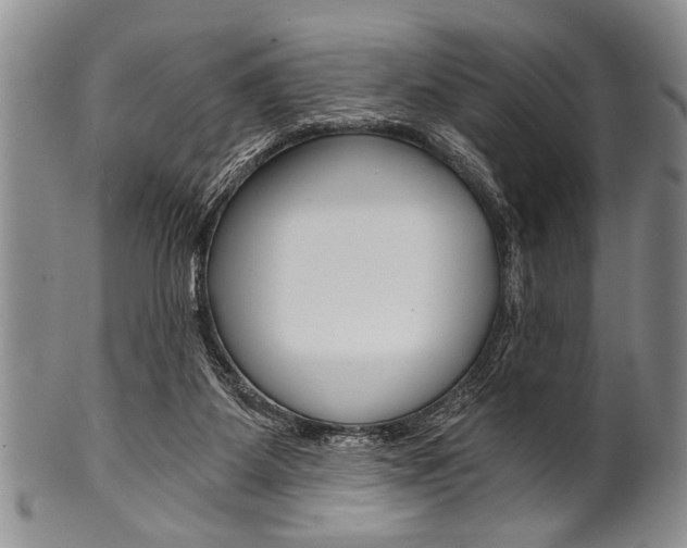X0000101120115200806261054