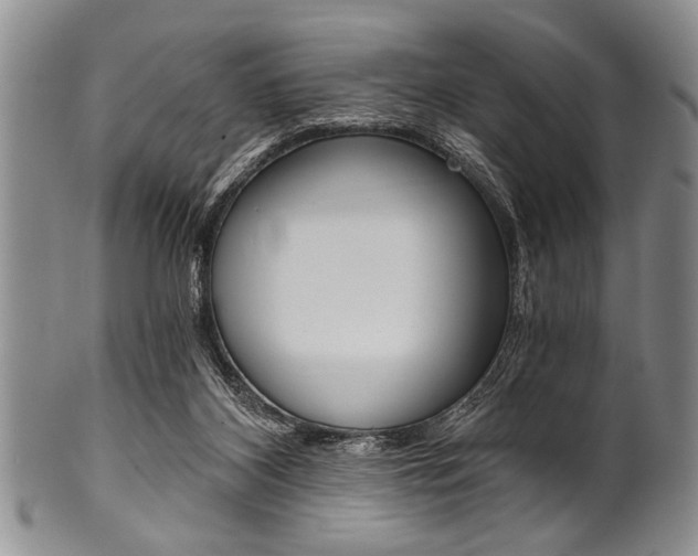 X0000101120116200806261054