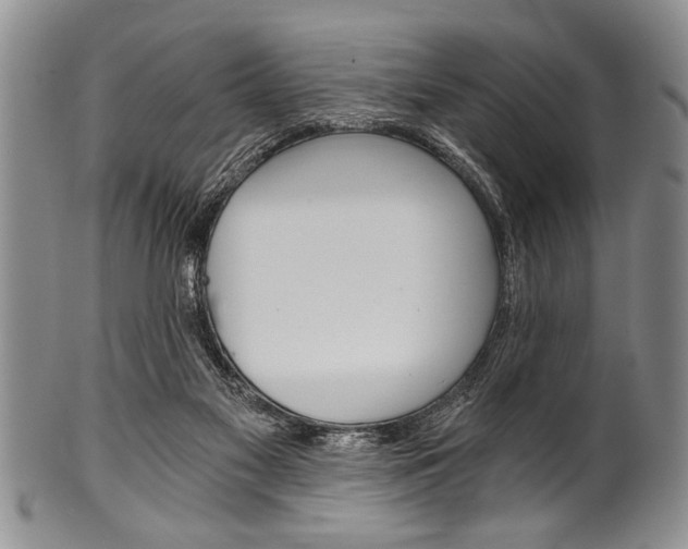 X0000101120117200806261054
