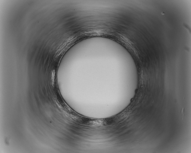 X0000101120118200806261054