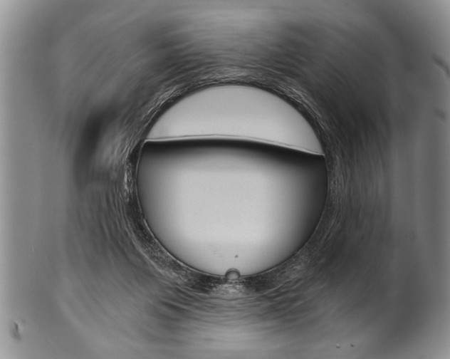 X0000101120119200806261054