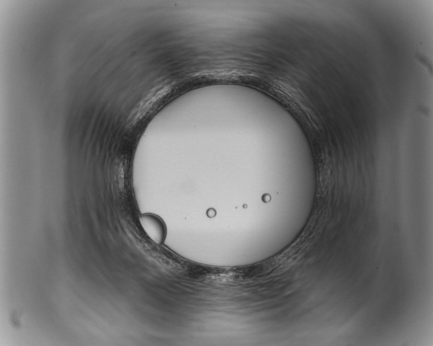 X0000101120120200806261054