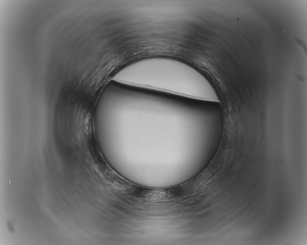 X0000101120123200806261054