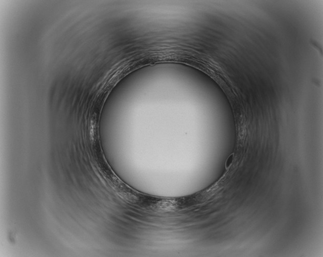 X0000101120124200806261054
