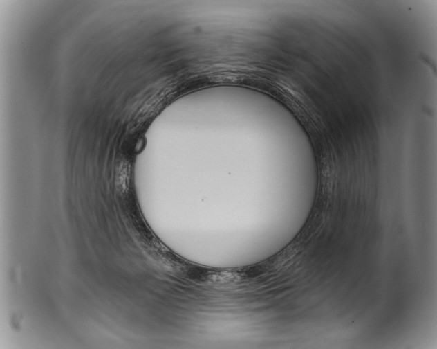 X0000101120125200806261054
