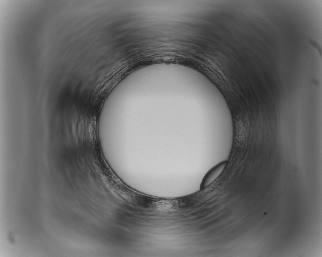 X0000101120126200806261054
