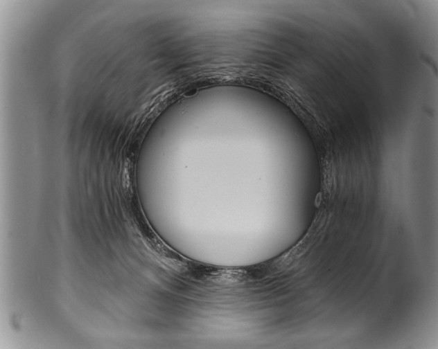 X0000101120128200806261054