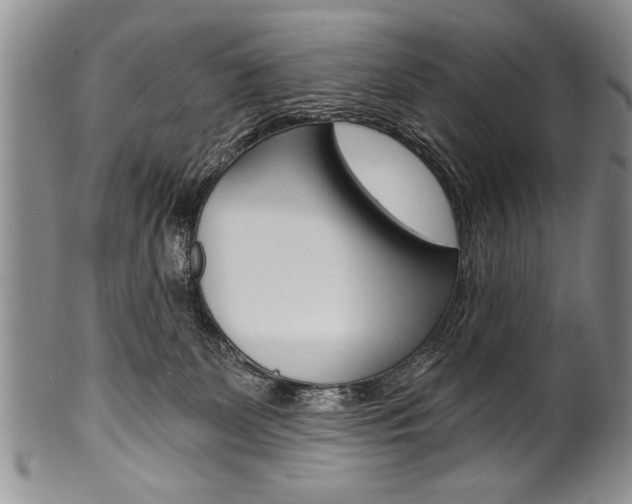 X0000101120131200806261054