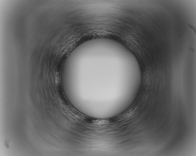 X0000101120135200806261054