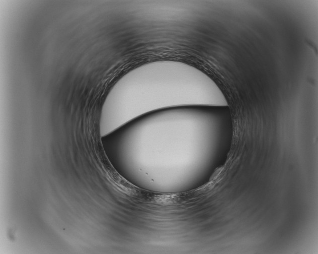 X0000101120136200806261054
