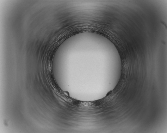 X0000101120137200806261054