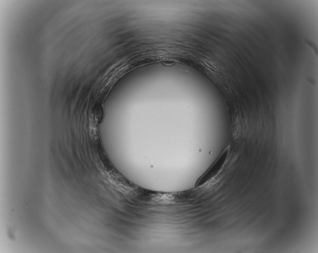 X0000101120140200806261054
