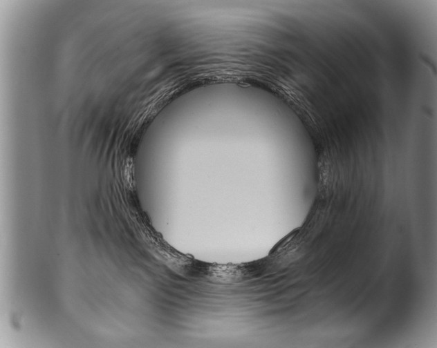 X0000101120141200806261054