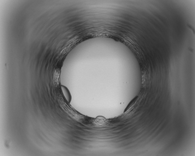 X0000101120142200806261054