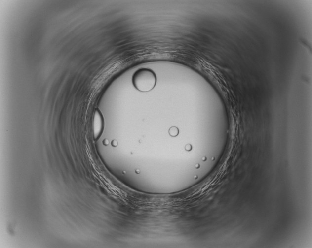X0000101120145200806261053