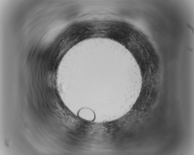 X0000101120146200806261053