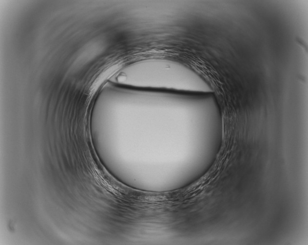 X0000101120147200806261053