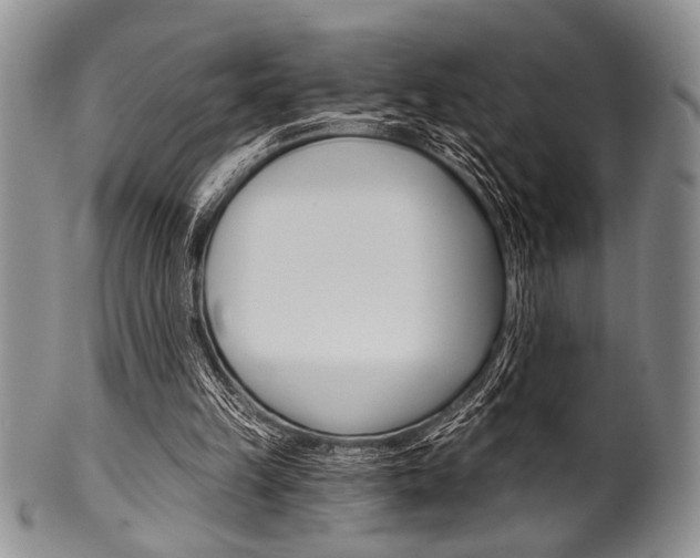 X0000101120149200806261053