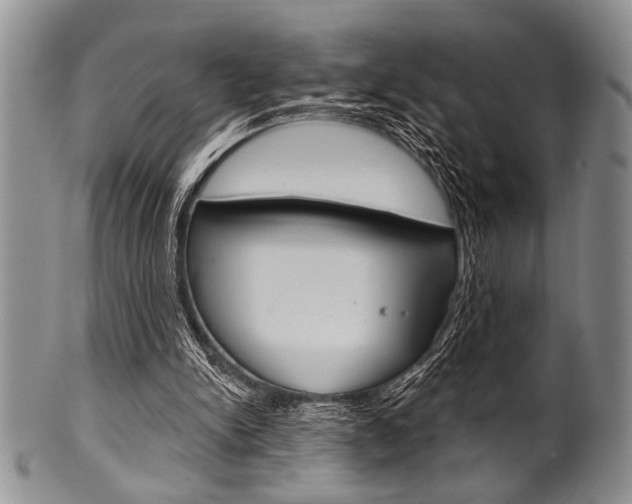 X0000101120150200806261053