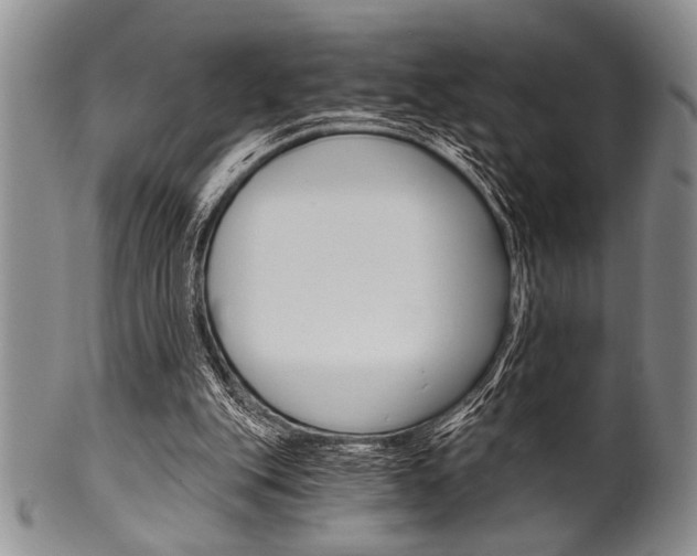 X0000101120151200806261053