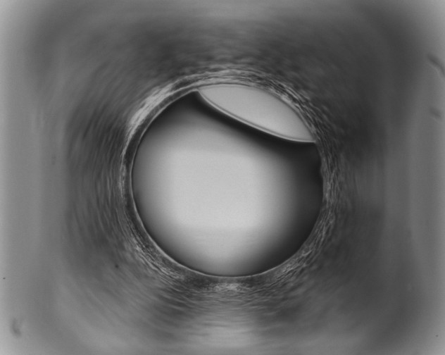 X0000101120152200806261053