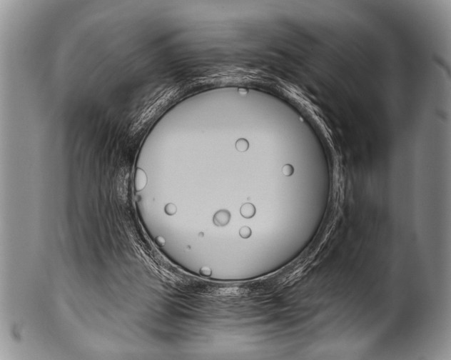 X0000101120153200806261053