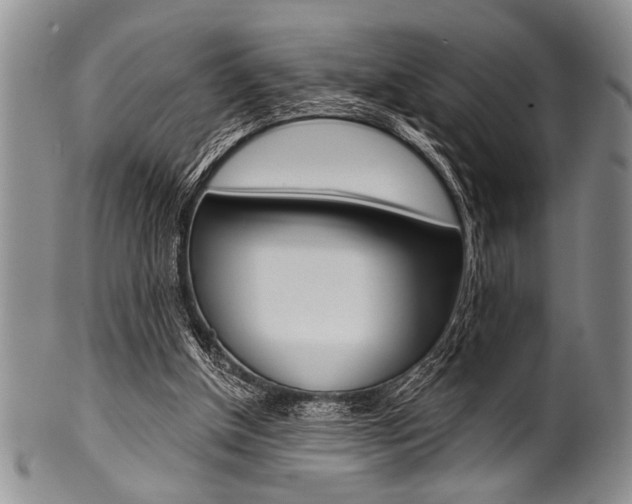 X0000101120154200806261053