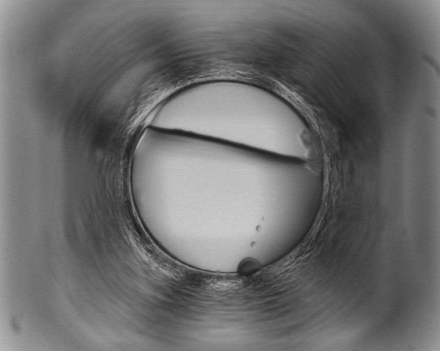 X0000101120155200806261053