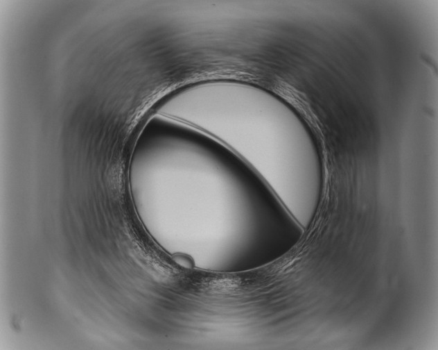 X0000101120156200806261053
