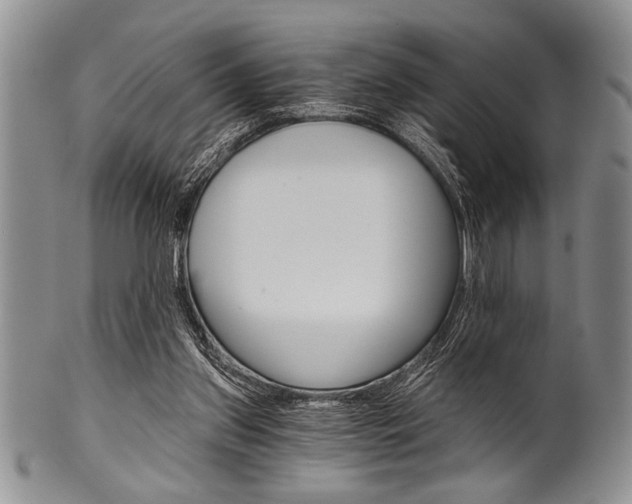 X0000101120157200806261053
