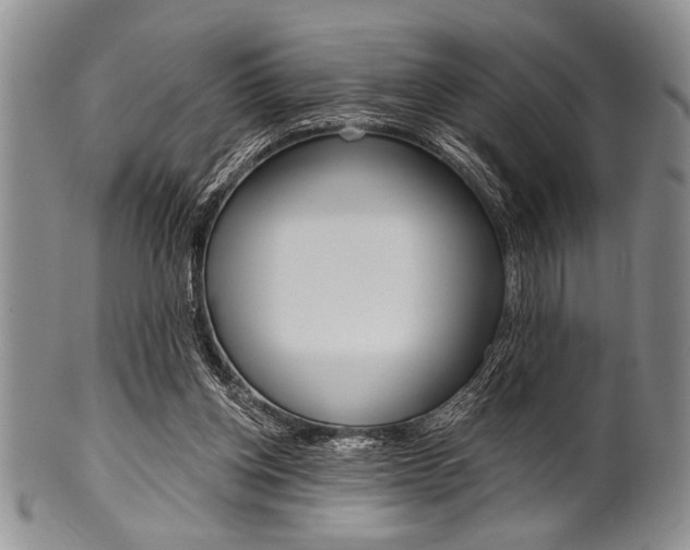 X0000101120158200806261053