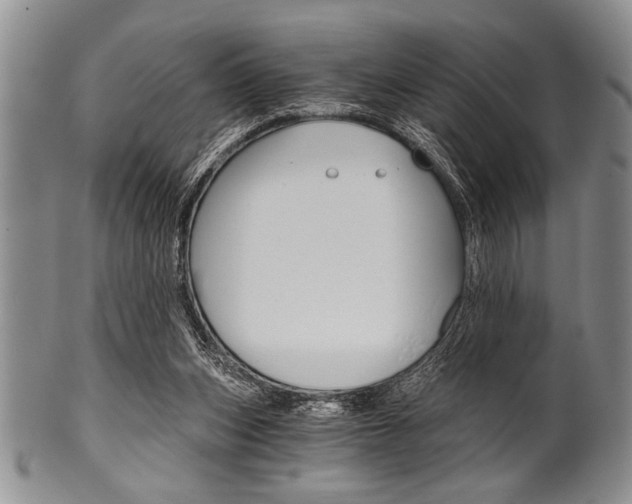 X0000101120159200806261053