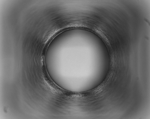 X0000101120160200806261053