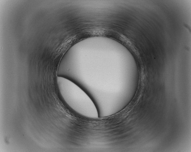 X0000101120161200806261053
