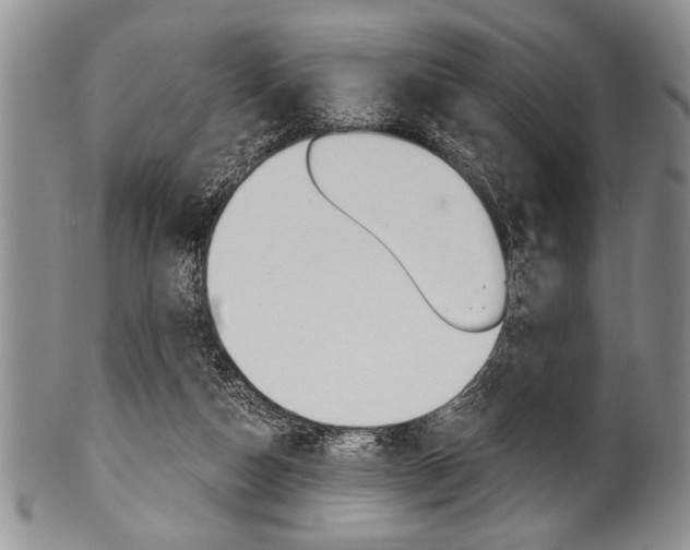 X0000101120162200806261053