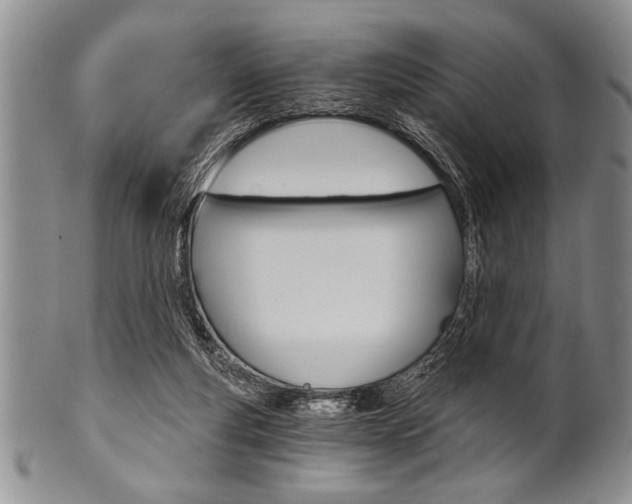 X0000101120163200806261053