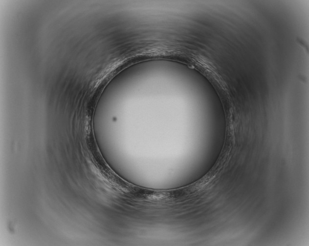 X0000101120164200806261053