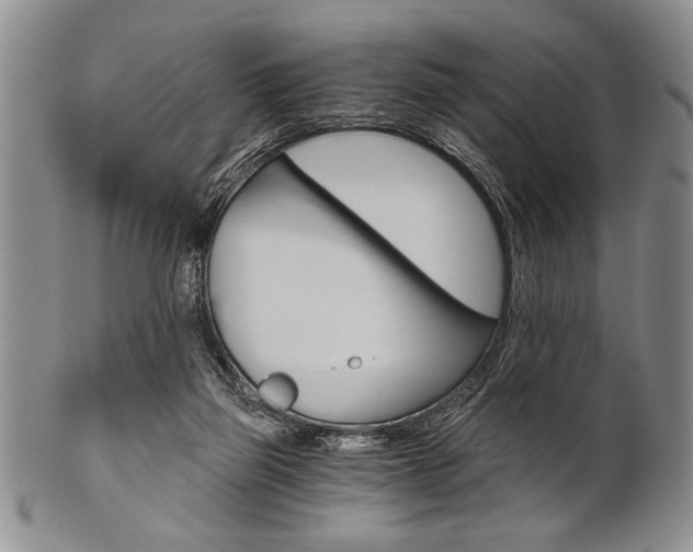 X0000101120165200806261053