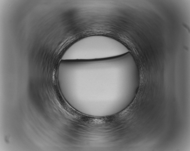 X0000101120166200806261054