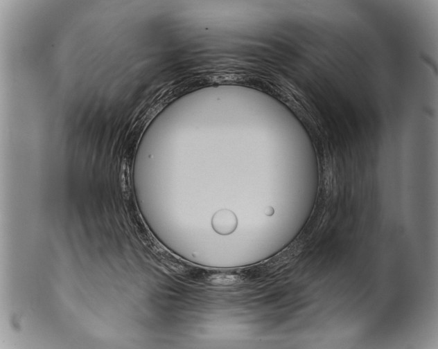 X0000101120169200806261054
