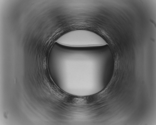X0000101120170200806261054