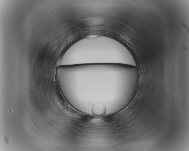 X0000101120171200806261054