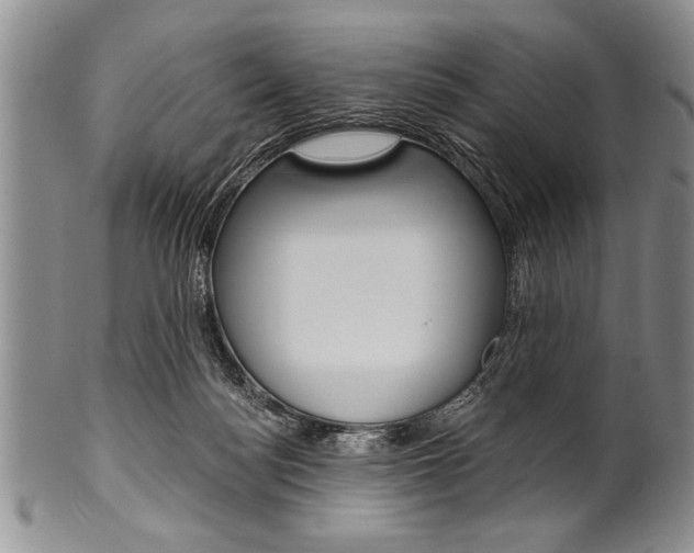X0000101120172200806261054